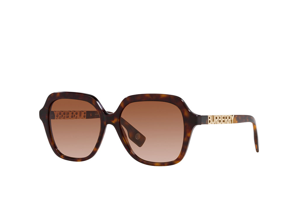 Burberry 4389 Sunglasses