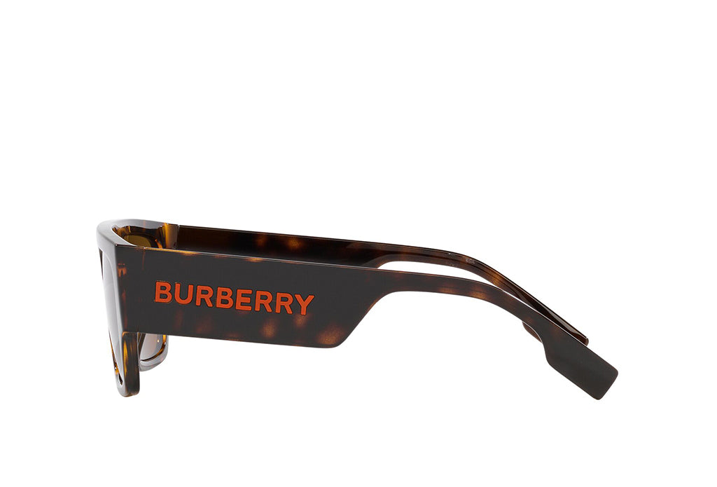 Burberry 4397U Sunglasses