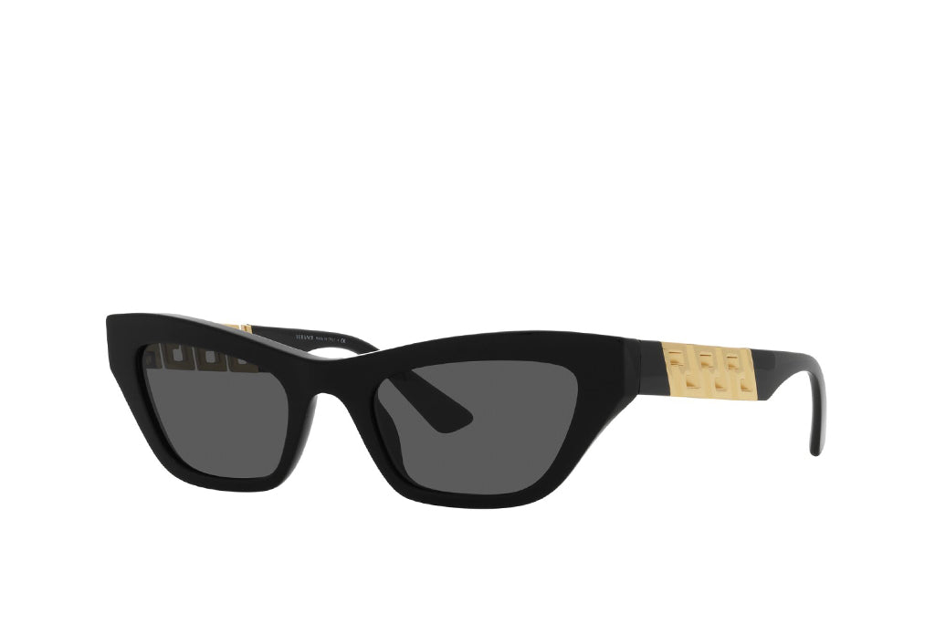 Versace 4419 Sunglasses