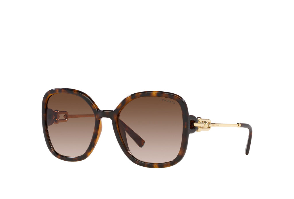Tiffany & Co. 4202U Sunglasses