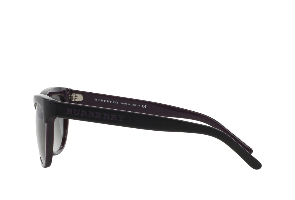 Burberry 4176 Sunglasses