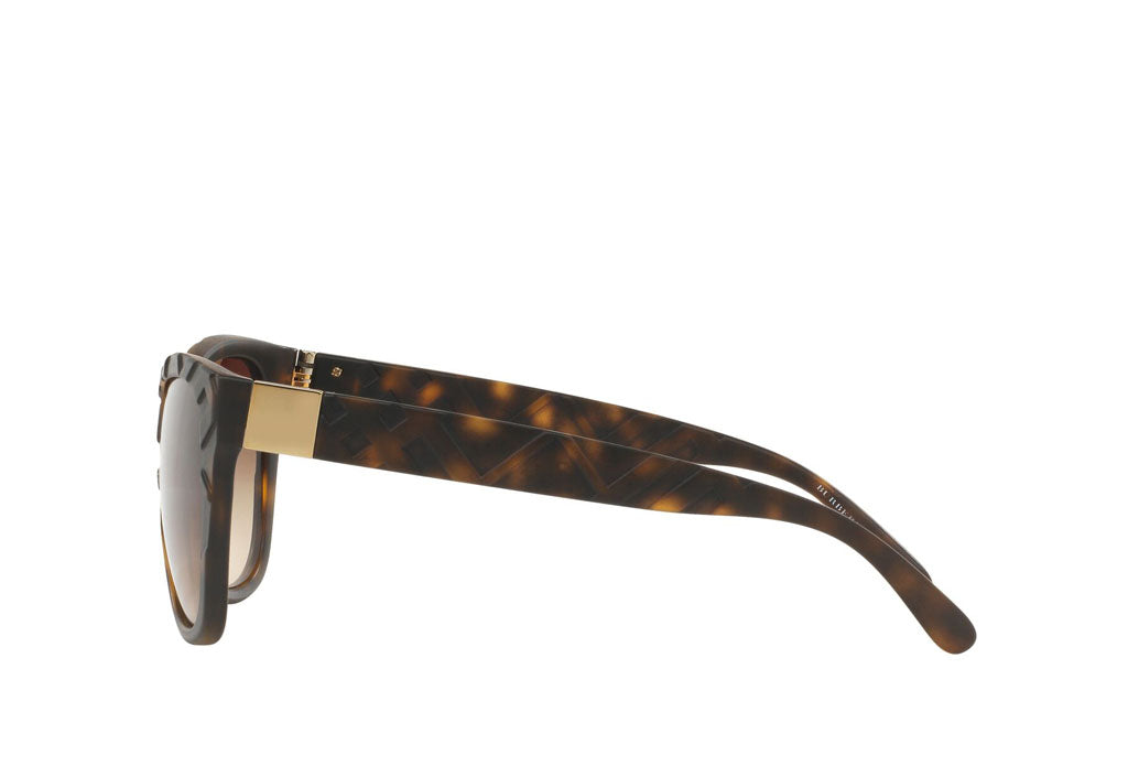 Burberry 4219 Sunglasses