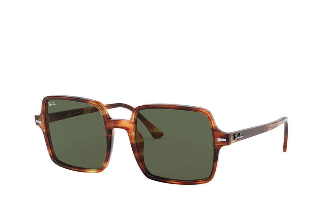 Rayban 1973 Sunglasses