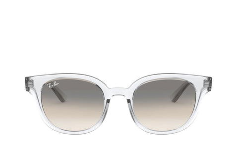 Rayban 4324 Sunglasses