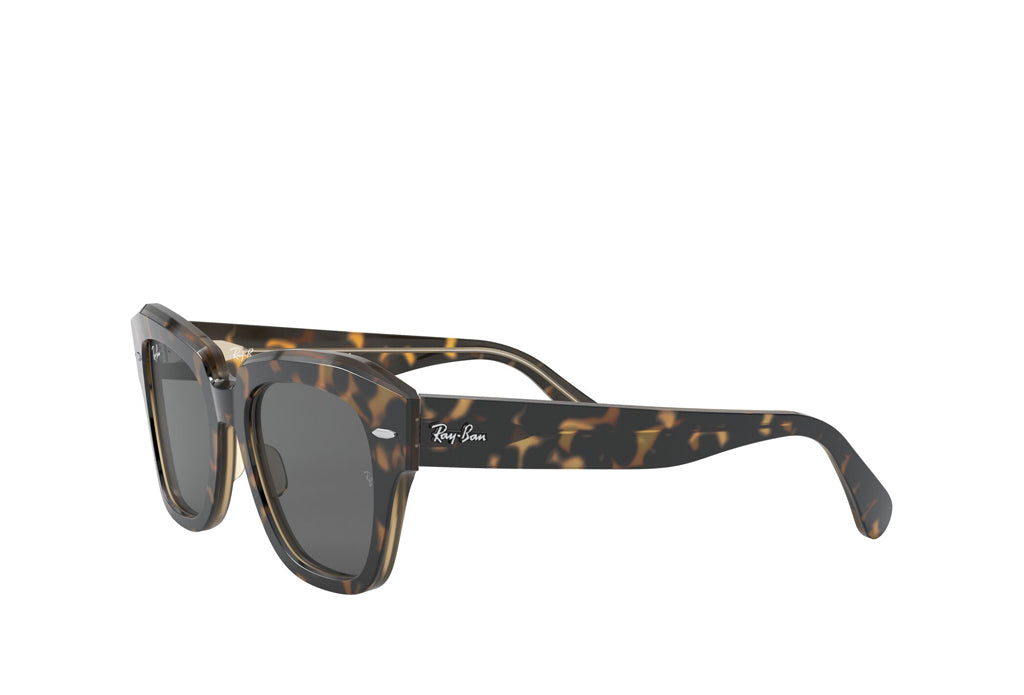 Rayban 2186 Sunglasses