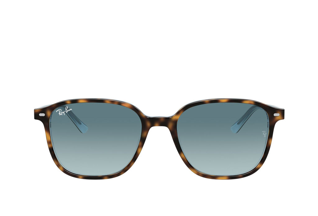 Rayban 2193 Sunglasses