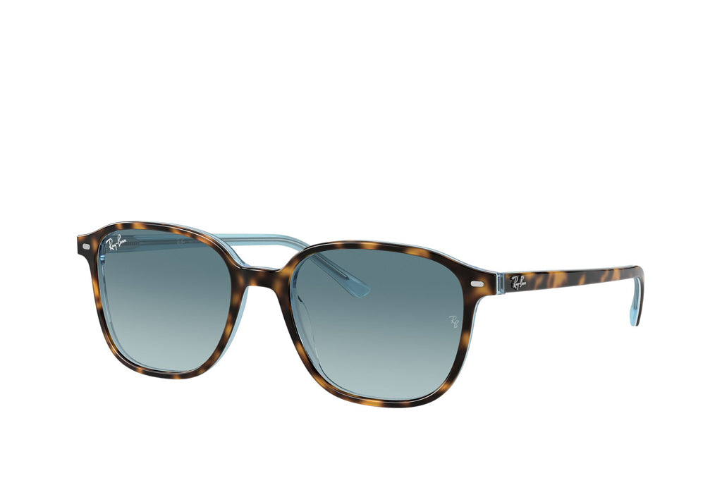 Rayban 2193 Sunglasses