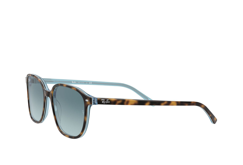 Rayban 2193 Sunglasses