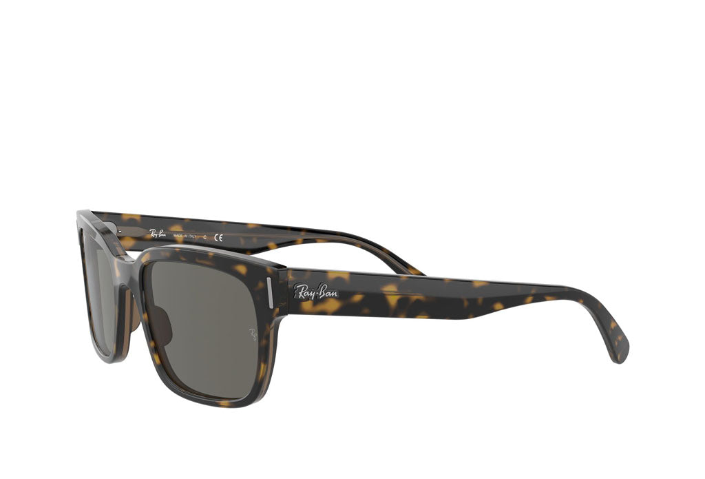 Rayban 2190 Sunglasses