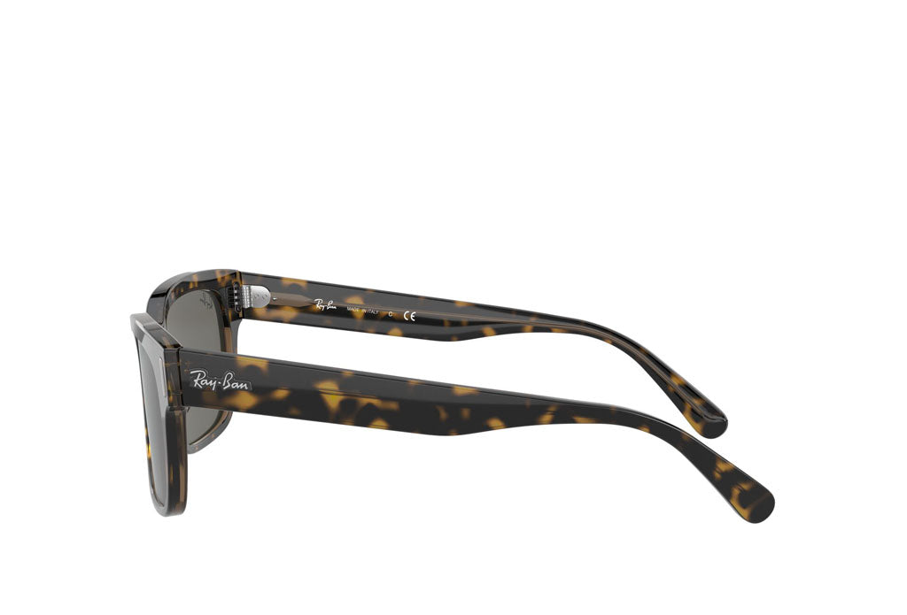 Rayban 2190 Sunglasses