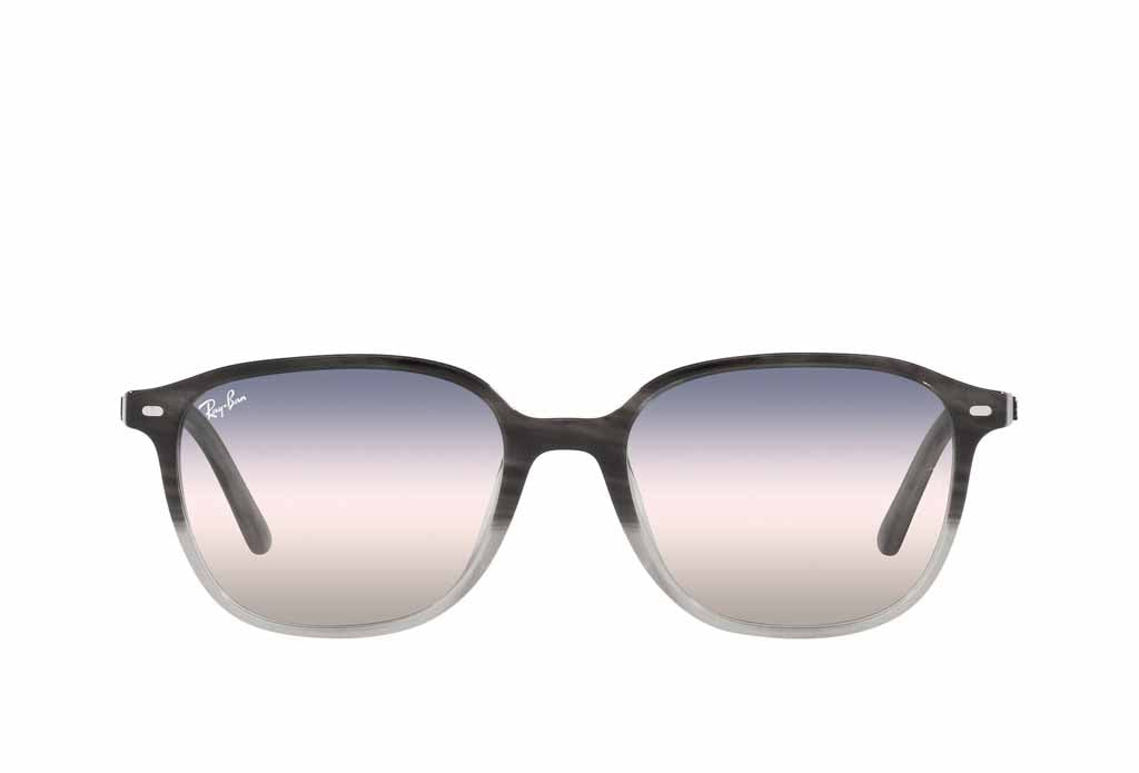 Rayban 2193 Sunglasses