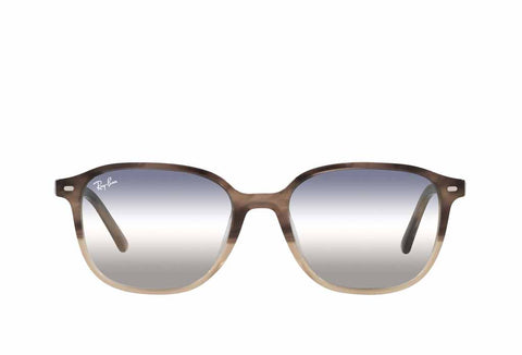 Rayban 2193 Sunglasses