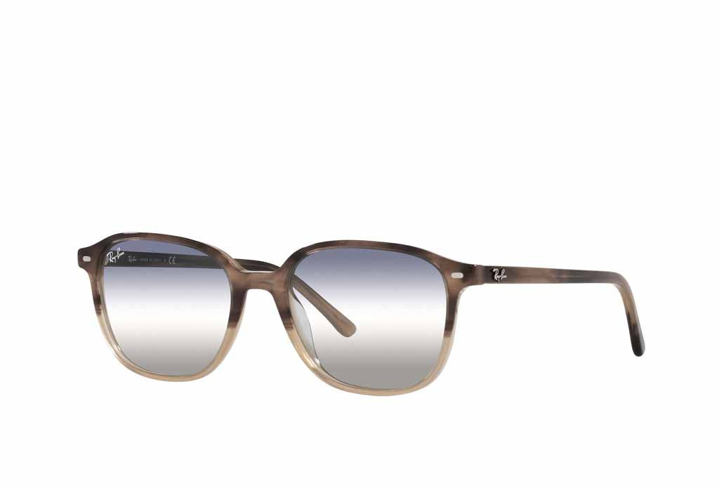 Rayban 2193 Sunglasses