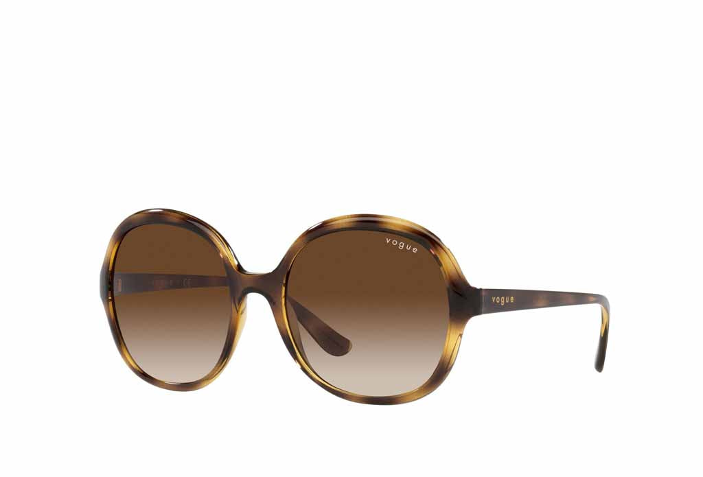 Vogue 5410S Sunglasses