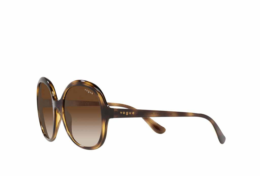 Vogue 5410S Sunglasses