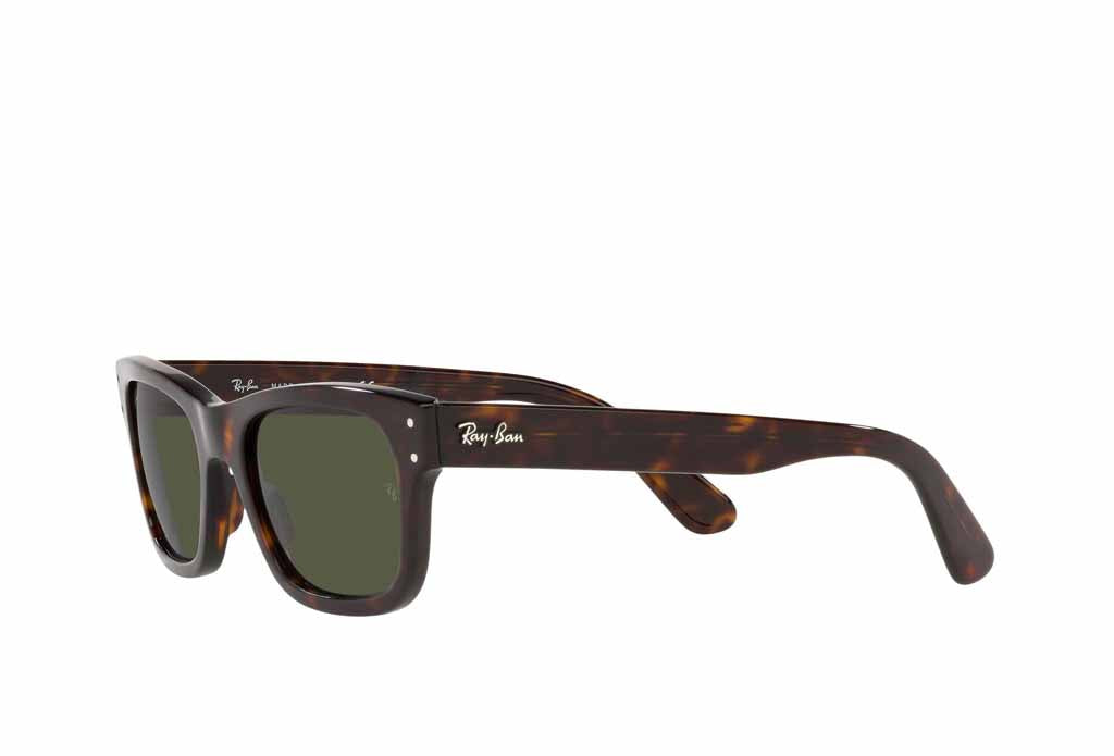 Rayban 2283 Sunglasses